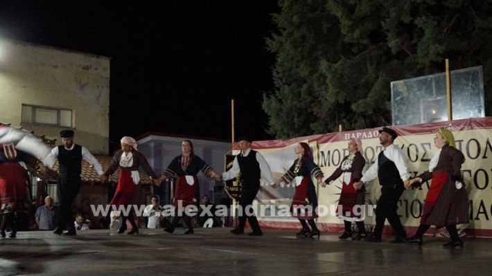 www.alexandriamou.gr_nissi_panhgyrikes_ekdiloseis_xoreftika29.6.25DSC03285