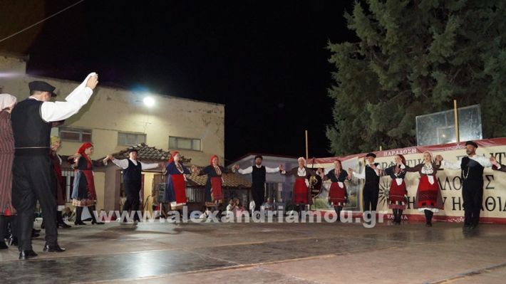 www.alexandriamou.gr_nissi_panhgyrikes_ekdiloseis_xoreftika29.6.25DSC03286