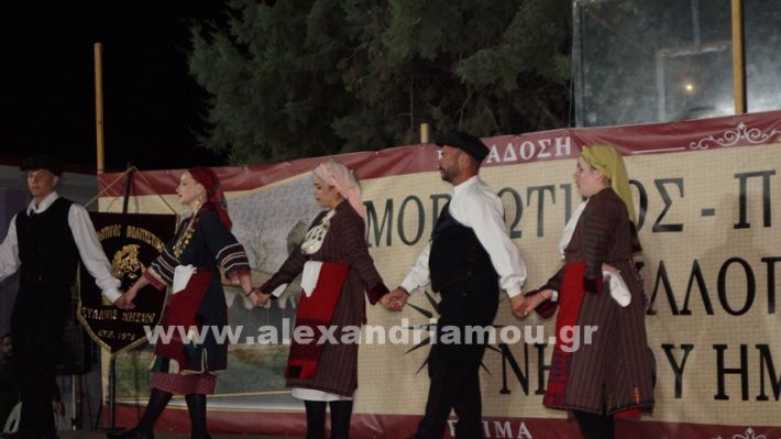 www.alexandriamou.gr_nissi_panhgyrikes_ekdiloseis_xoreftika29.6.25DSC03287