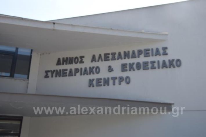 alexandriamou.gr_nteliopoulosgiorgos22DSC_1208