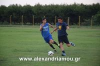 alexandriamou_p.skulitsh17.08.160046