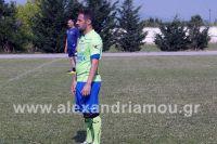 palemalex_xanthi_aiani50