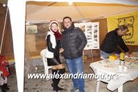 alexandriamou_palaioxori20160012