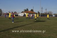 alexandriamou_palaioxori_mesh0045