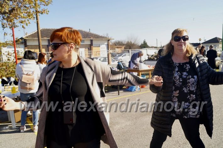 alexandriamou_palioxwridek_DSC5491