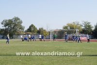 alexandriamou_paok_010021