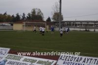 alexandriamou_paok_150146