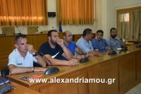 alexandriamou_paok_20160007