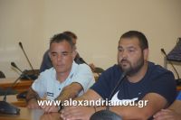 alexandriamou_paok_20160024
