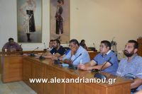 alexandriamou_paok_20160025