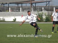 alexandriamou_paok_170126