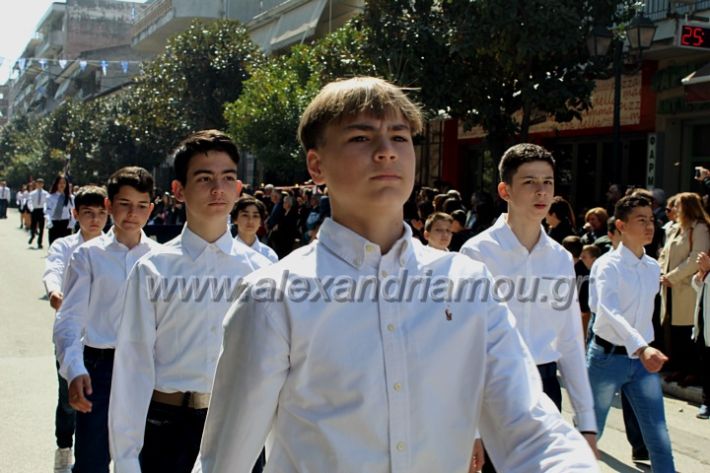 alexandriamou_sxoleiaparelash25h23IMG_1550