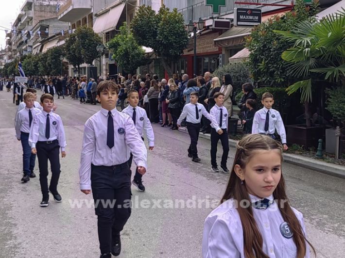 www.alexandriamou.gr_apeletherosi2025_alexIMG_20251018_120147