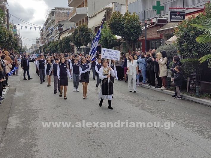 www.alexandriamou.gr_apeletherosi2025_alexIMG_20251018_120302