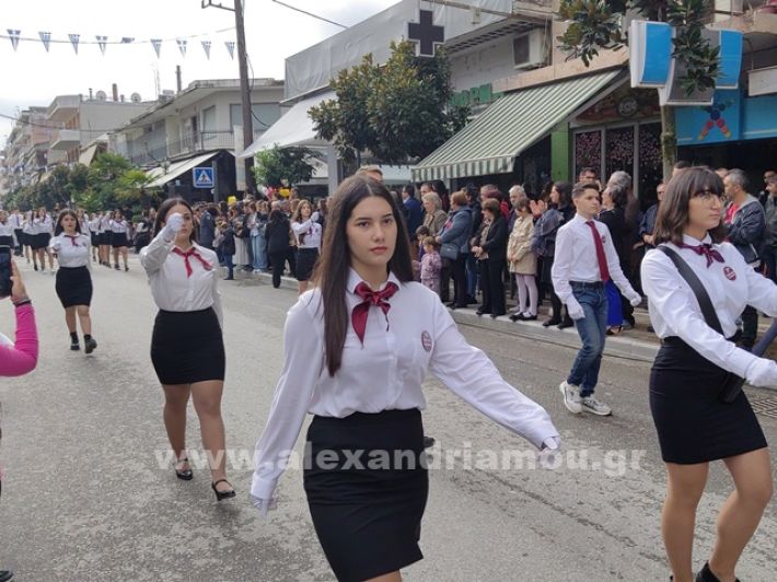 www.alexandriamou.gr_apeletherosi2025_alexIMG_20251018_120803
