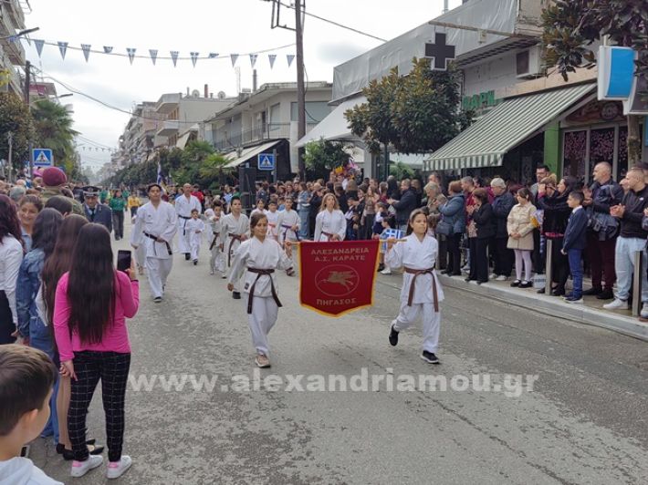 www.alexandriamou.gr_apeletherosi2025_alexIMG_20251018_121049