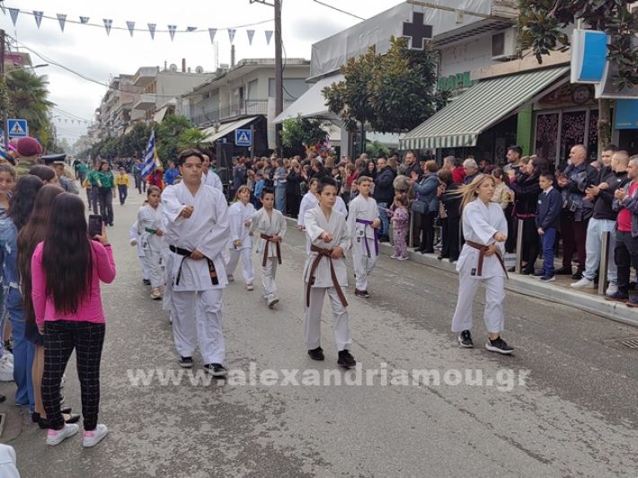 www.alexandriamou.gr_apeletherosi2025_alexIMG_20251018_121052