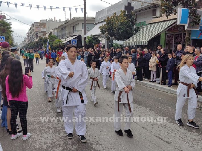 www.alexandriamou.gr_apeletherosi2025_alexIMG_20251018_121053
