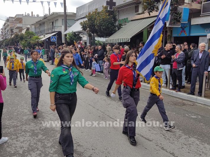 www.alexandriamou.gr_apeletherosi2025_alexIMG_20251018_121102