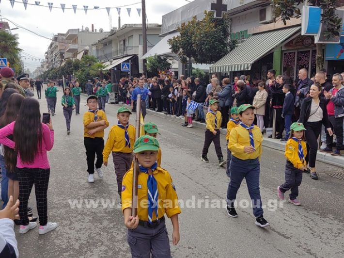 www.alexandriamou.gr_apeletherosi2025_alexIMG_20251018_121107