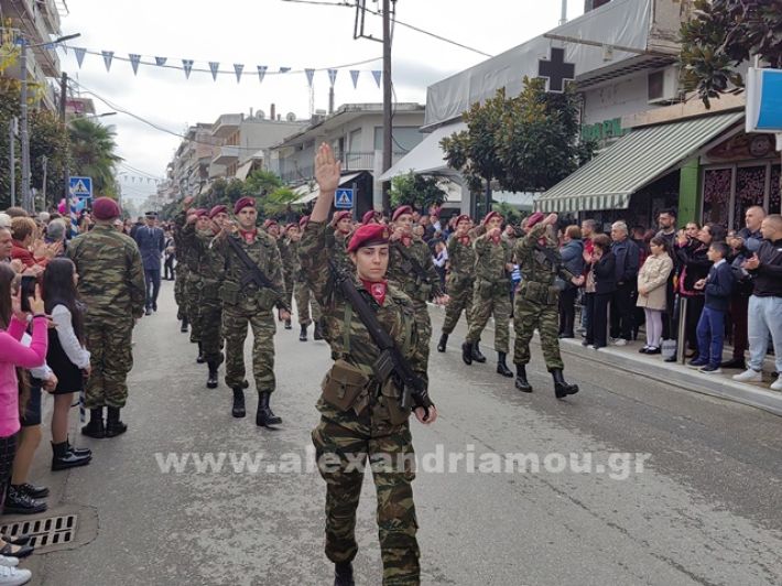 www.alexandriamou.gr_apeletherosi2025_alexIMG_20251018_121235
