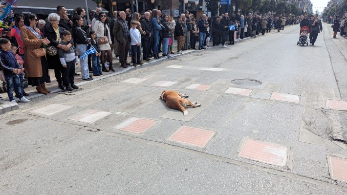 PXL_20260325_094105877.MP