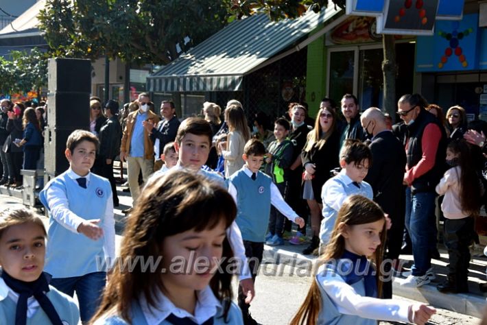 alexandriamou.gr_iparelasi_pana28.10.21050