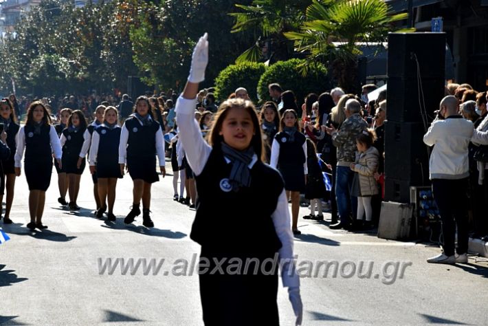 alexandriamou.gr_iparelasi_pana28.10.21062