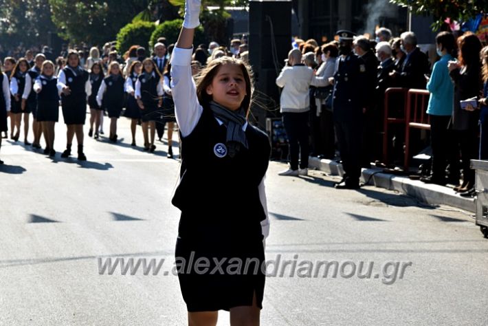 alexandriamou.gr_iparelasi_pana28.10.21063