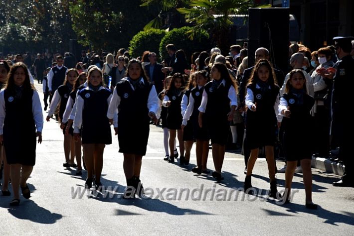 alexandriamou.gr_iparelasi_pana28.10.21066