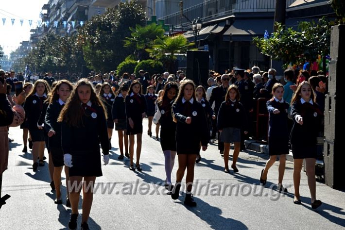 alexandriamou.gr_iparelasi_pana28.10.21098