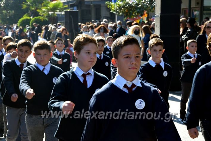 alexandriamou.gr_iparelasi_pana28.10.21118