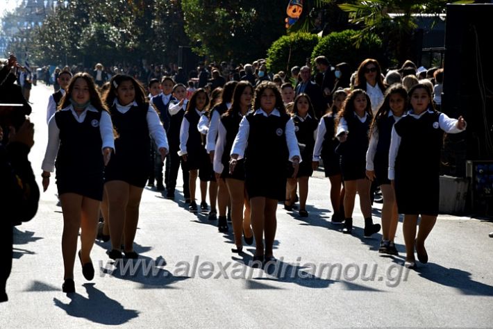 alexandriamou.gr_iparelasi_pana28.10.21171