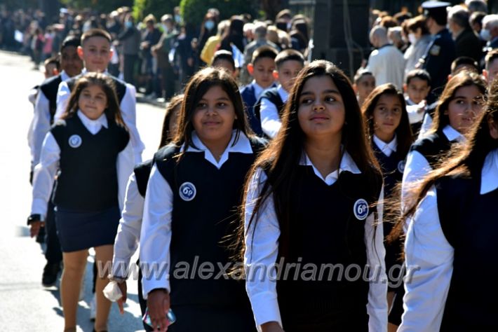 alexandriamou.gr_iparelasi_pana28.10.21179