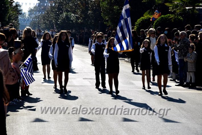 alexandriamou.gr_iparelasi_pana28.10.21187