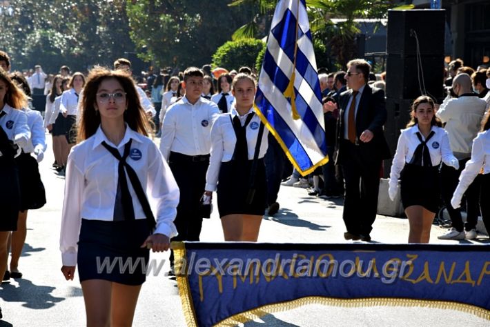 alexandriamou.gr_iparelasi_pana28.10.21247