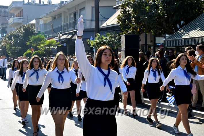 alexandriamou.gr_iparelasi_pana28.10.21328