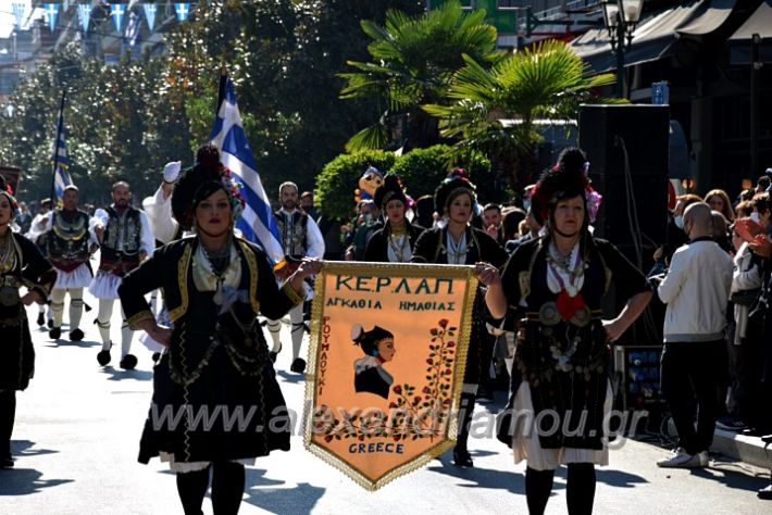 alexandriamou.gr_iparelasi_pana28.10.21349