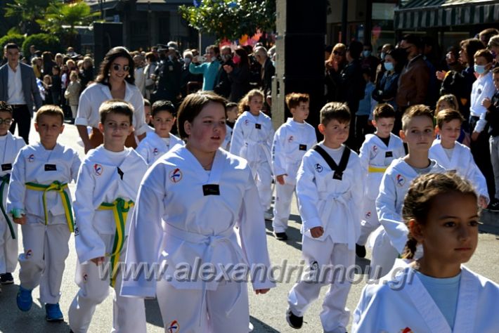 alexandriamou.gr_iparelasi_pana28.10.21404