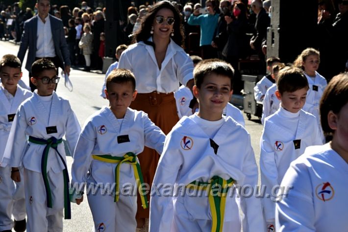 alexandriamou.gr_iparelasi_pana28.10.21405