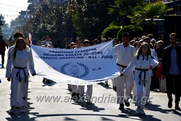 alexandriamou.gr_iparelasi_pana28.10.21414