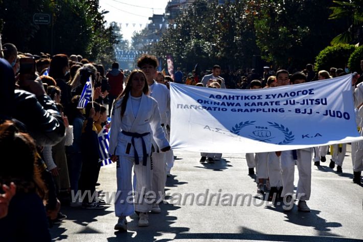 alexandriamou.gr_iparelasi_pana28.10.21415