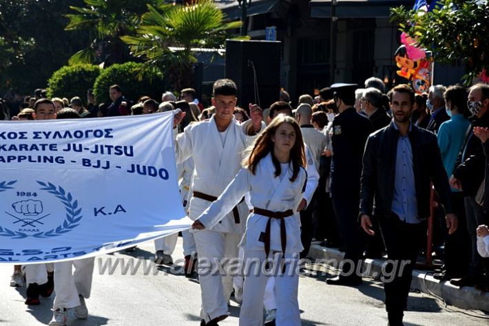 alexandriamou.gr_iparelasi_pana28.10.21417