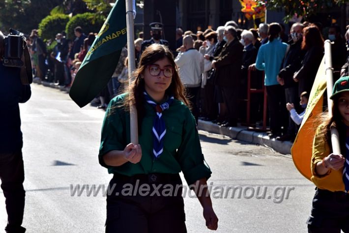 alexandriamou.gr_iparelasi_pana28.10.21436