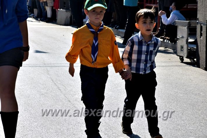 alexandriamou.gr_iparelasi_pana28.10.21444