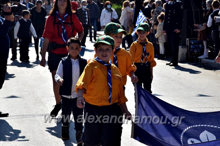 alexandriamou.gr_iparelasi_pana28.10.21452