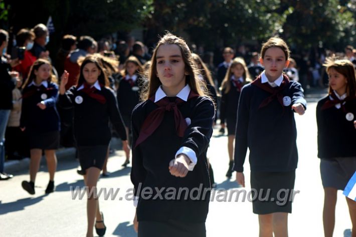 alexandriamou.gr_iparelasi_pana28.10.21489