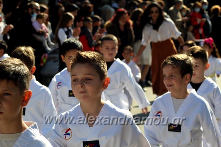 alexandriamou.gr_iparelasi_pana28.10.21575