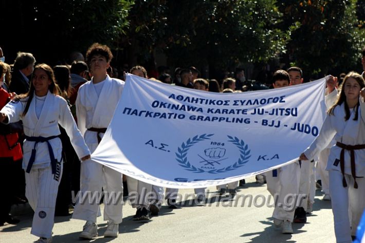 alexandriamou.gr_iparelasi_pana28.10.21578