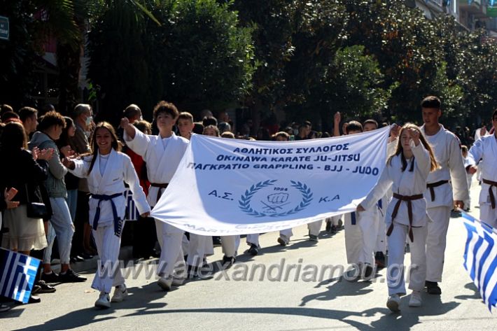 alexandriamou.gr_iparelasi_pana28.10.21579